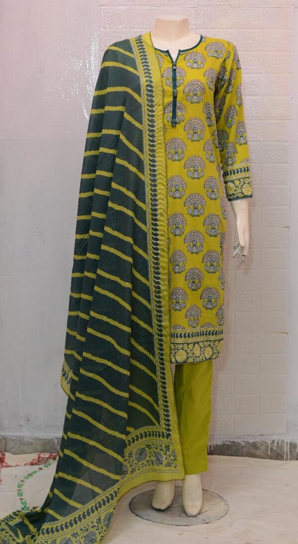 EGD-04 Ready to Wear 3pc Lawn - Image 5